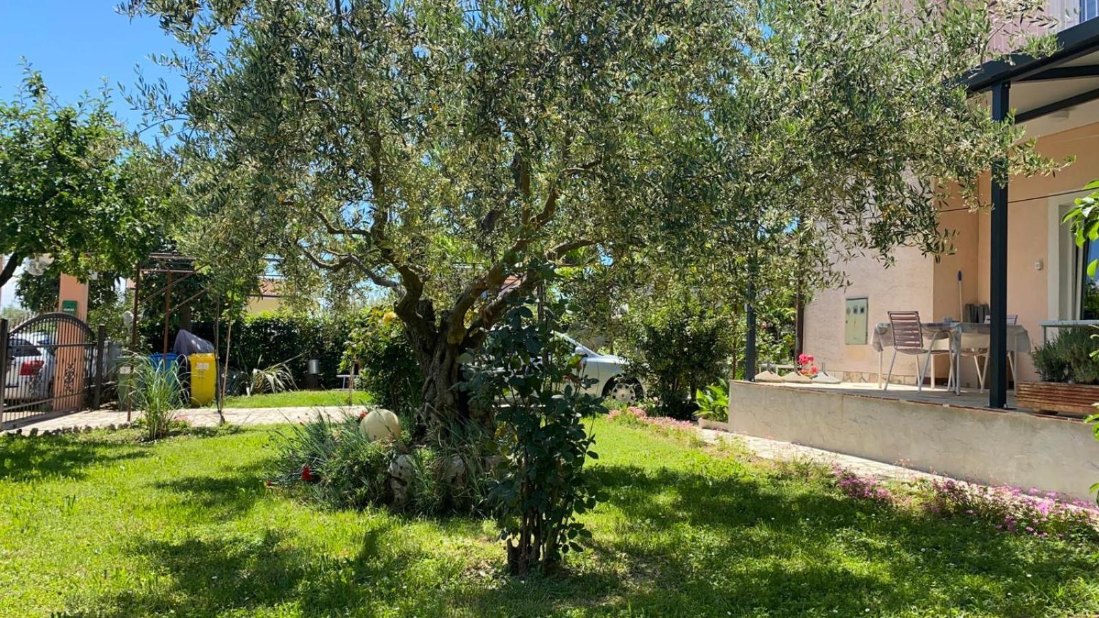 Apartment Gracijana Poreč Exteriér fotografie